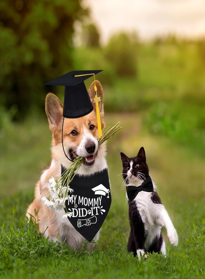 Bolake 2025 Dog Graduation Cap and Gown with 2025 Gold Tassel for Graduation Outfits Gifts Dog Graduation Bandana for Small Medium Large Dogs - Image 2